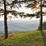 Montagano - Montagano