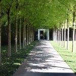 Montecchio - Montecchio