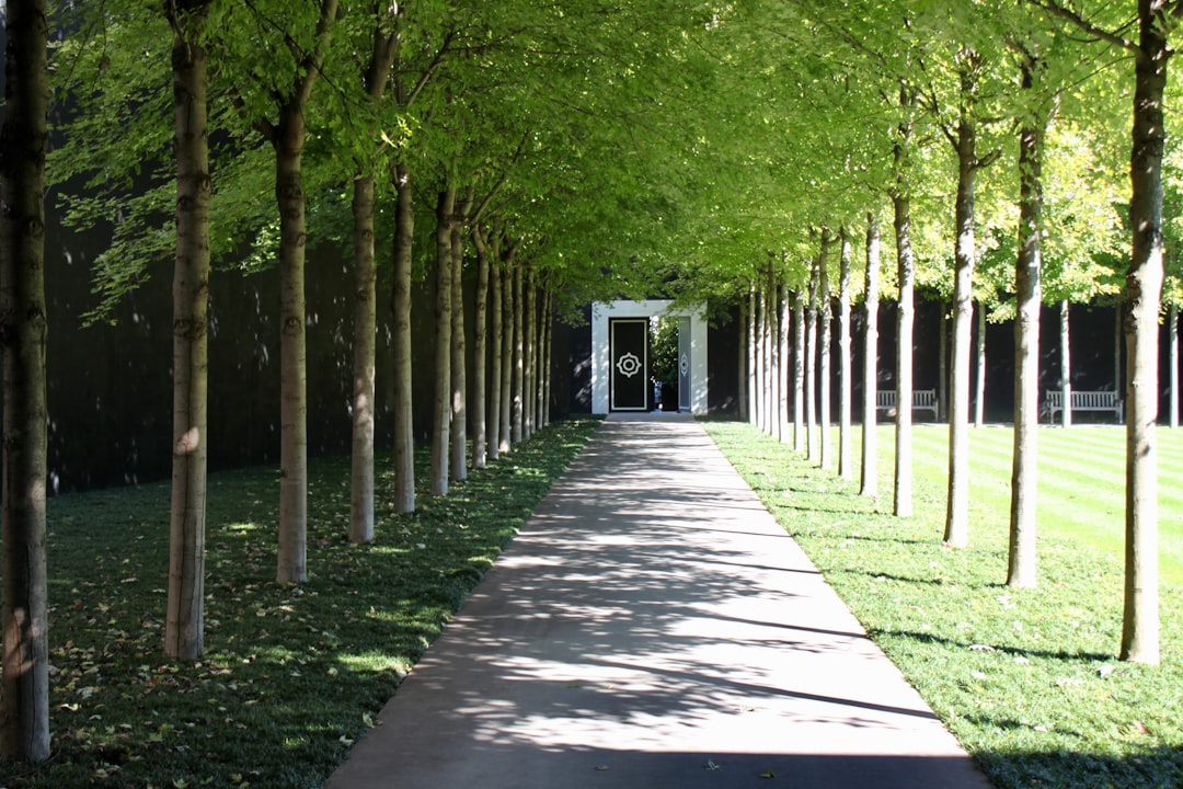 Montecchio - Montecchio