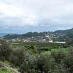 Monteleone d'Orvieto -