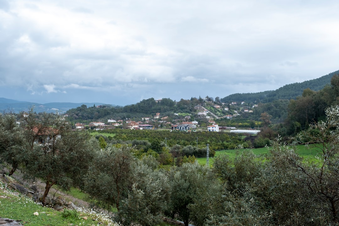 Monteleone d'Orvieto -