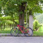 Mountain bike (piste ciclabili, bike park di Pila) -