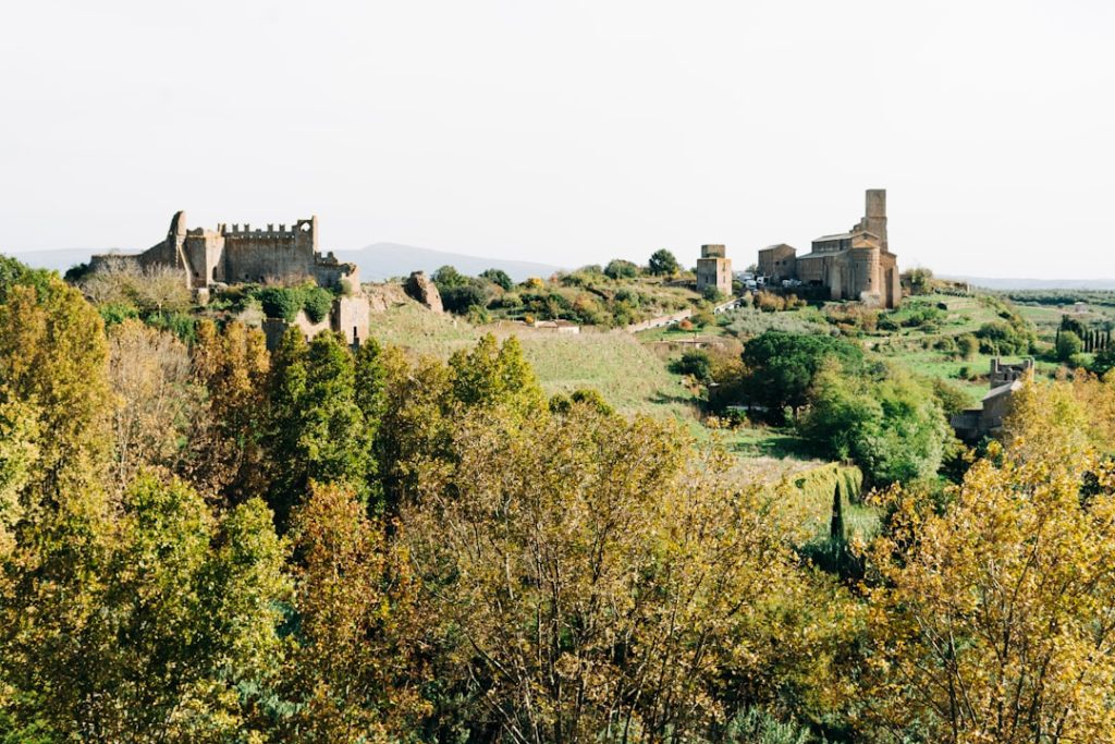 Museo della Paglia e dell'Intreccio di Tuscania (VT) -