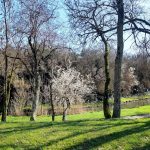 Natura, Parchi e Mare: -