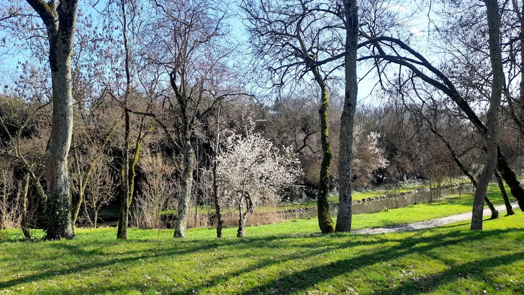 Natura, Parchi e Mare: -