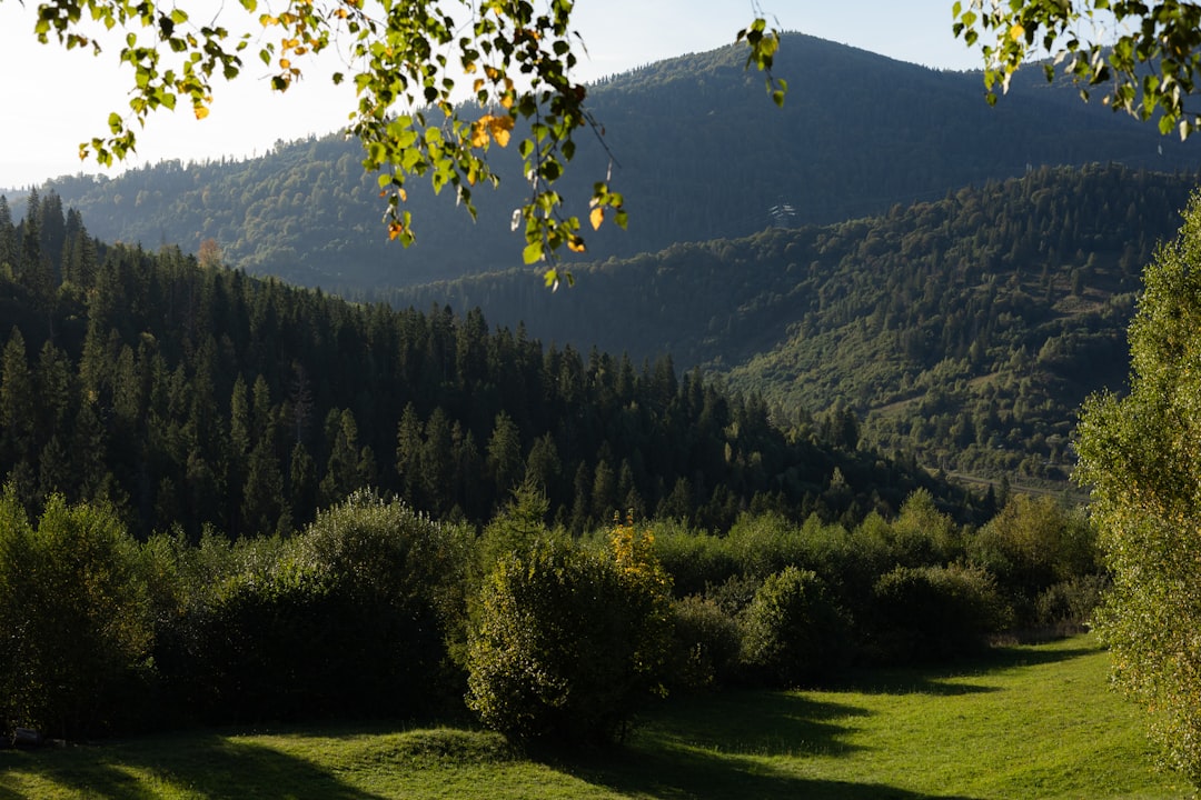 Natura, Parchi e Montagna: -