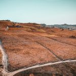 Nizza Monferrato - Nizza Monferrato