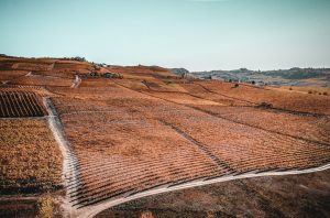 Nizza Monferrato - Nizza Monferrato