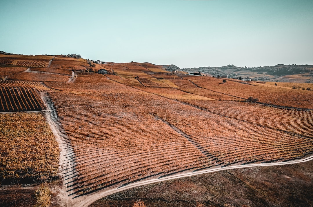 Nizza Monferrato - Nizza Monferrato