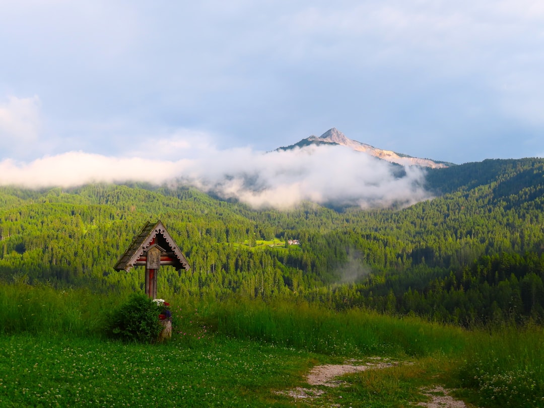 Nova Ponente - Nova Ponente