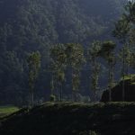 Paesaggi culturali e naturali: - Paesaggi culturali e naturali: