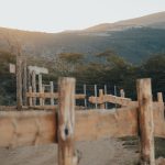 Palio dei Comuni del Campidano a Sanluri -