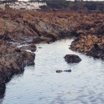 Palio dei Rioni di Bellaria-Igea Marina -