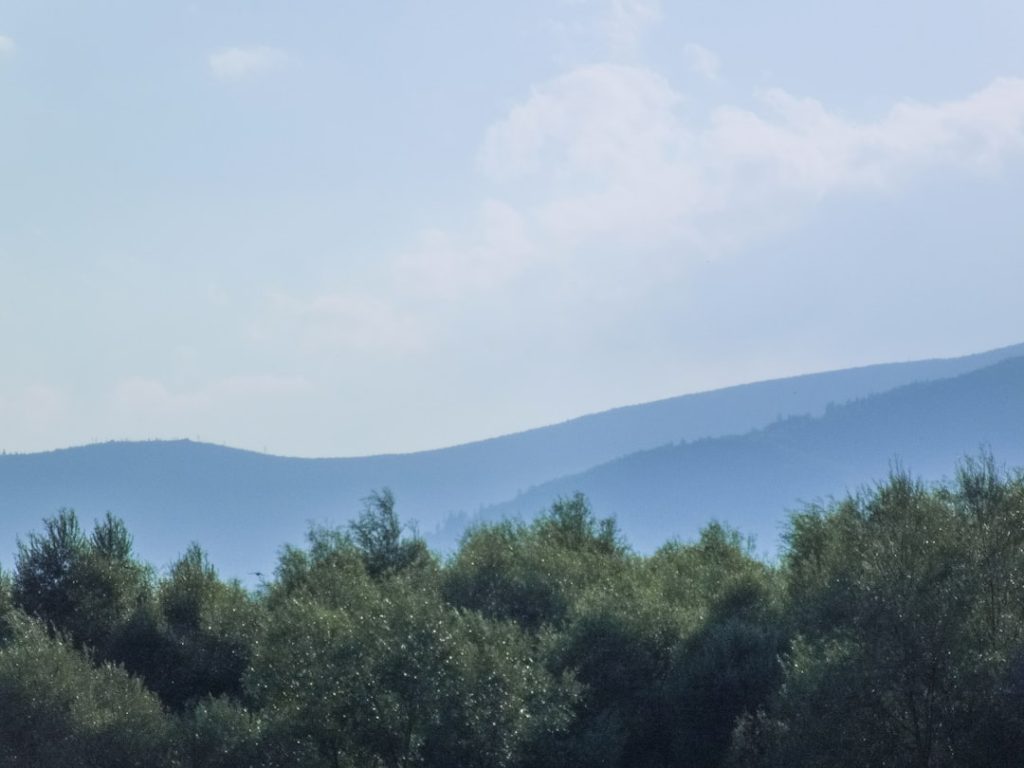 Palio dei Rioni di Montalto Uffugo -