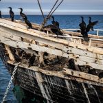 Palio del Tributo a Gaeta: Rievocazione Storica, Corteo e Regata -