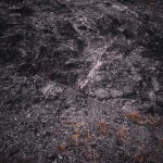 Palio delle Contrade di Bosa -