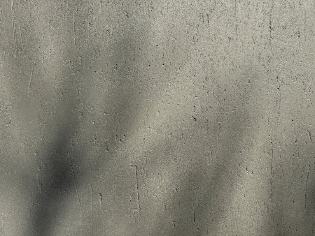 Palio delle Contrade di Campoformido -