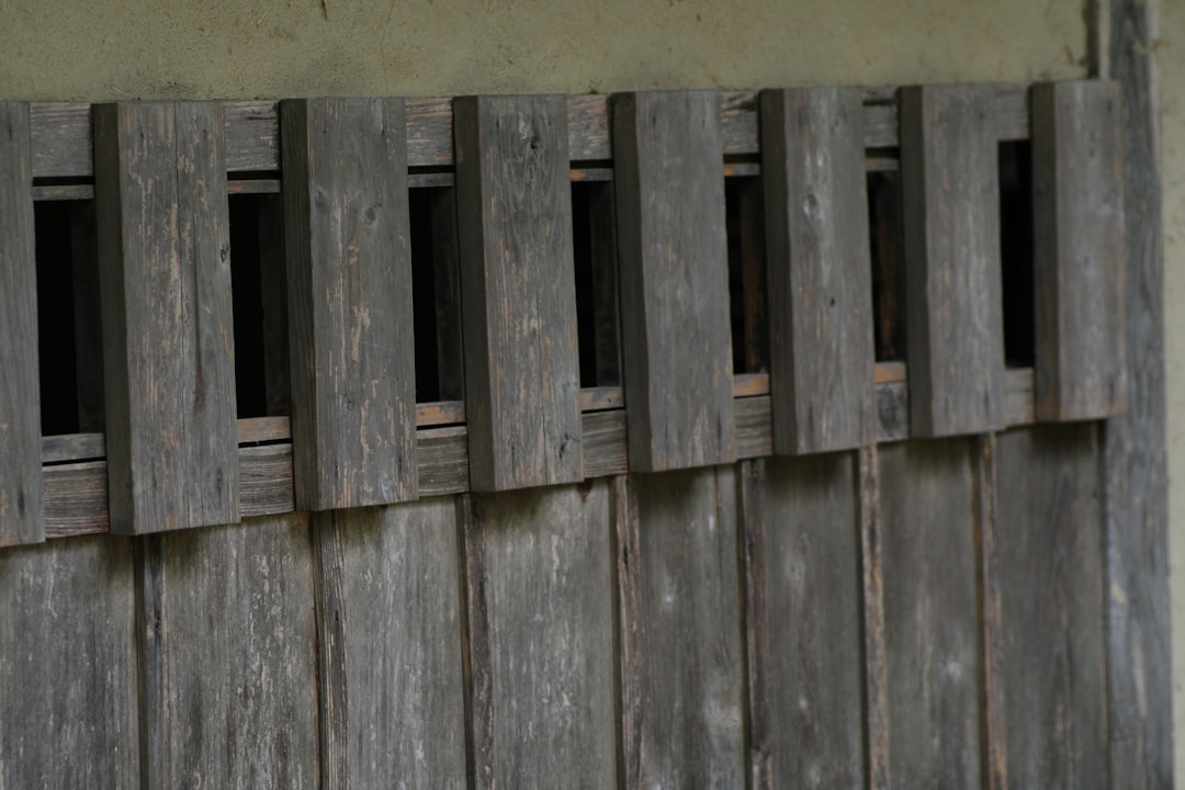 Palio delle Contrade di Guardia Piemontese -