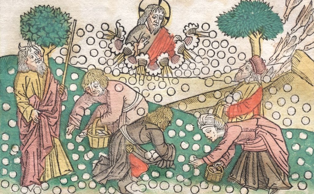 Palio di Noale: Giochi Medievali, Corteo e Sagra nei Borghi -