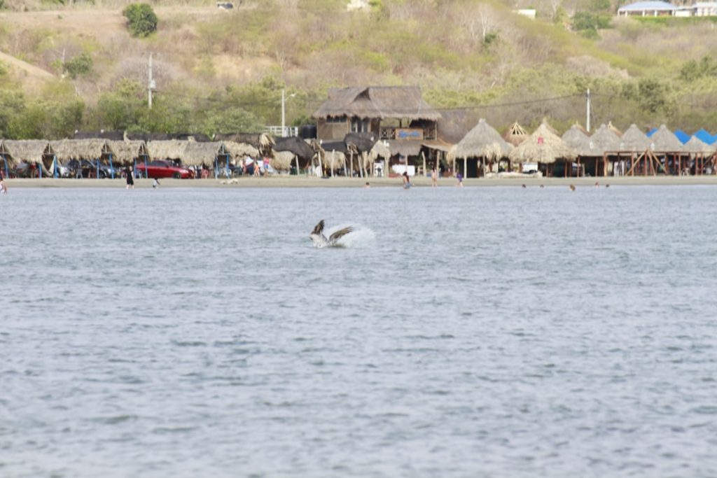 Palio di San Marco a Sabaudia: Regate e Eventi Nautici sul Lago -