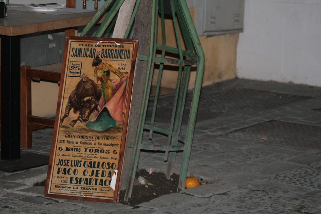 Palio di San Michele a Giarre: Corteo, Gare tra Contrade e Eventi Religiosi -
