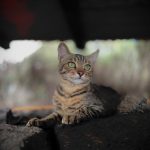 Pantelleria - Pantelleria