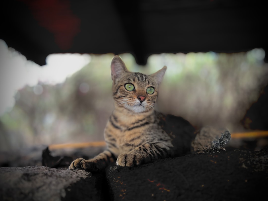 Pantelleria - Pantelleria