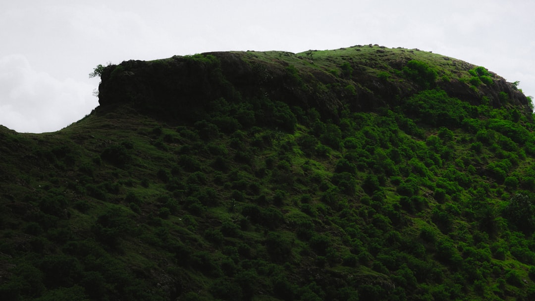 Parco Naturale Collina di Superga - Torino - Parco Naturale Collina di Superga - Torino