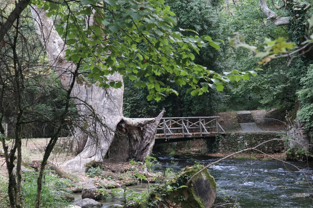 Parco Naturale Fanes-Sennes-Braies - Bolzano - Parco Naturale Fanes-Sennes-Braies - Bolzano