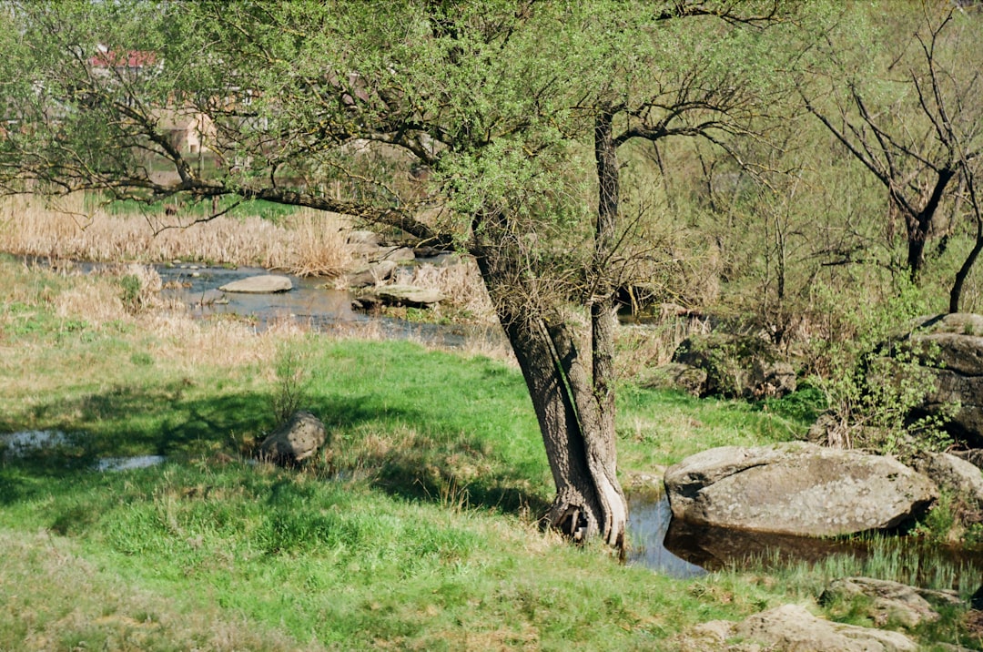 Parco Naturale Gruppo di Tessa - Bolzano - Parco Naturale Gruppo di Tessa - Bolzano