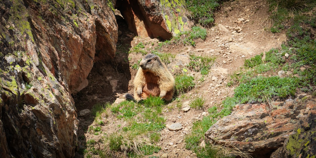 Parco Naturale Orsiera-Rocciavrè - Torino - Parco Naturale Orsiera-Rocciavrè - Torino