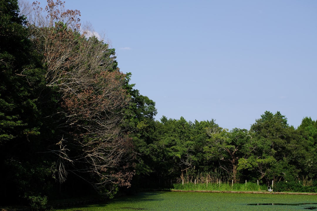 Parco Naturale Vedrette di Ries-Aurina - Bolzano - Parco Naturale Vedrette di Ries-Aurina - Bolzano