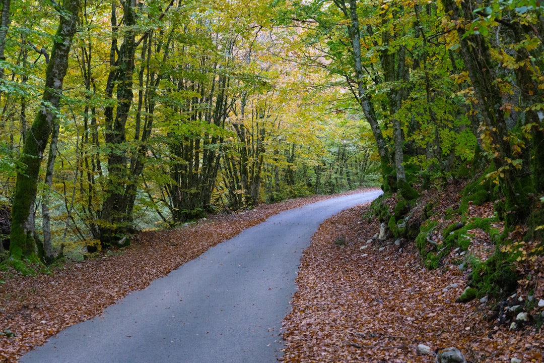 Parco Nazionale d'Abruzzo, Lazio e Molise -