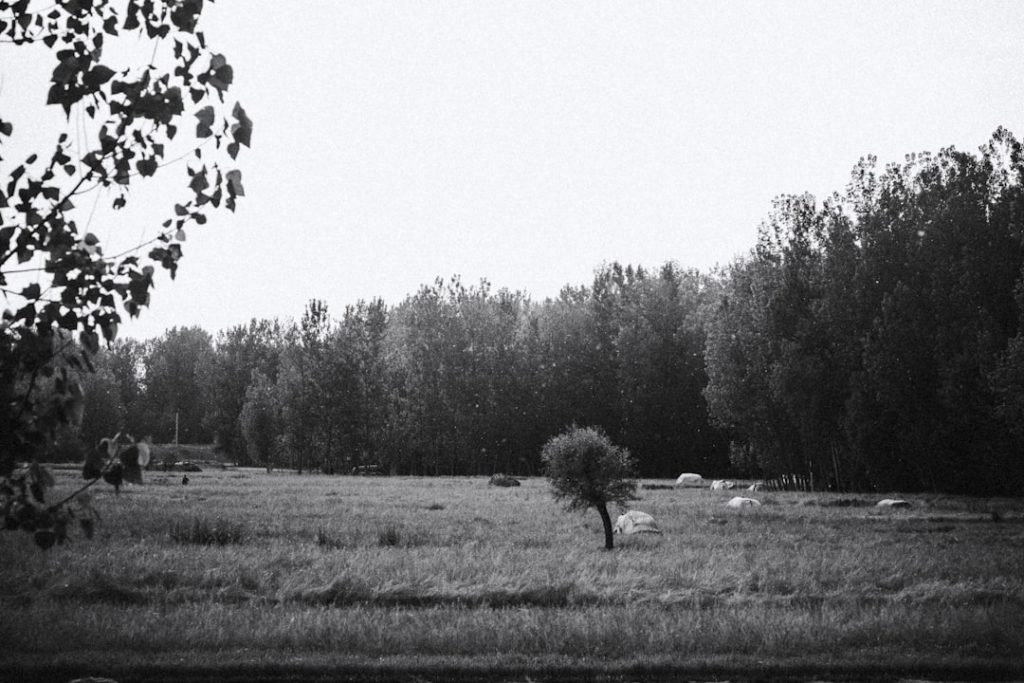 Parco Regionale Appia Antica - Roma - Parco Regionale Appia Antica - Roma