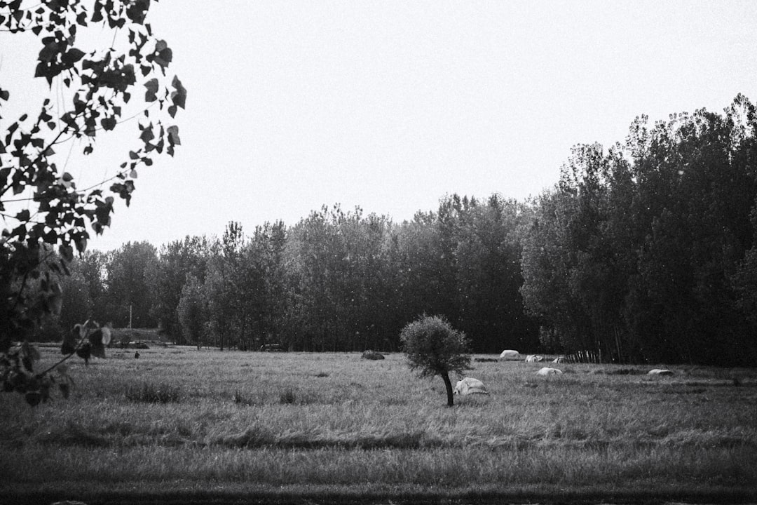 Parco Regionale Appia Antica - Roma - Parco Regionale Appia Antica - Roma