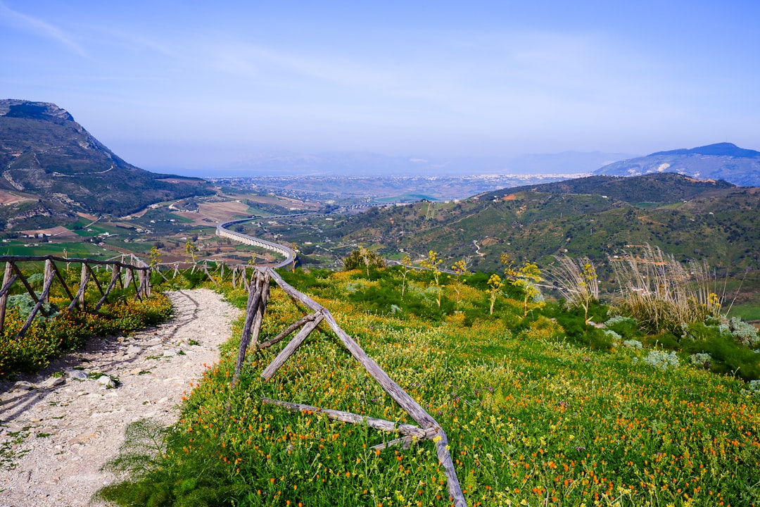 Parco Regionale Bosco Ficuzza, Rocca Busambra e Bosco del Cappelliere - Palermo - Parco Regionale Bosco Ficuzza, Rocca Busambra e Bosco del Cappelliere - Palermo