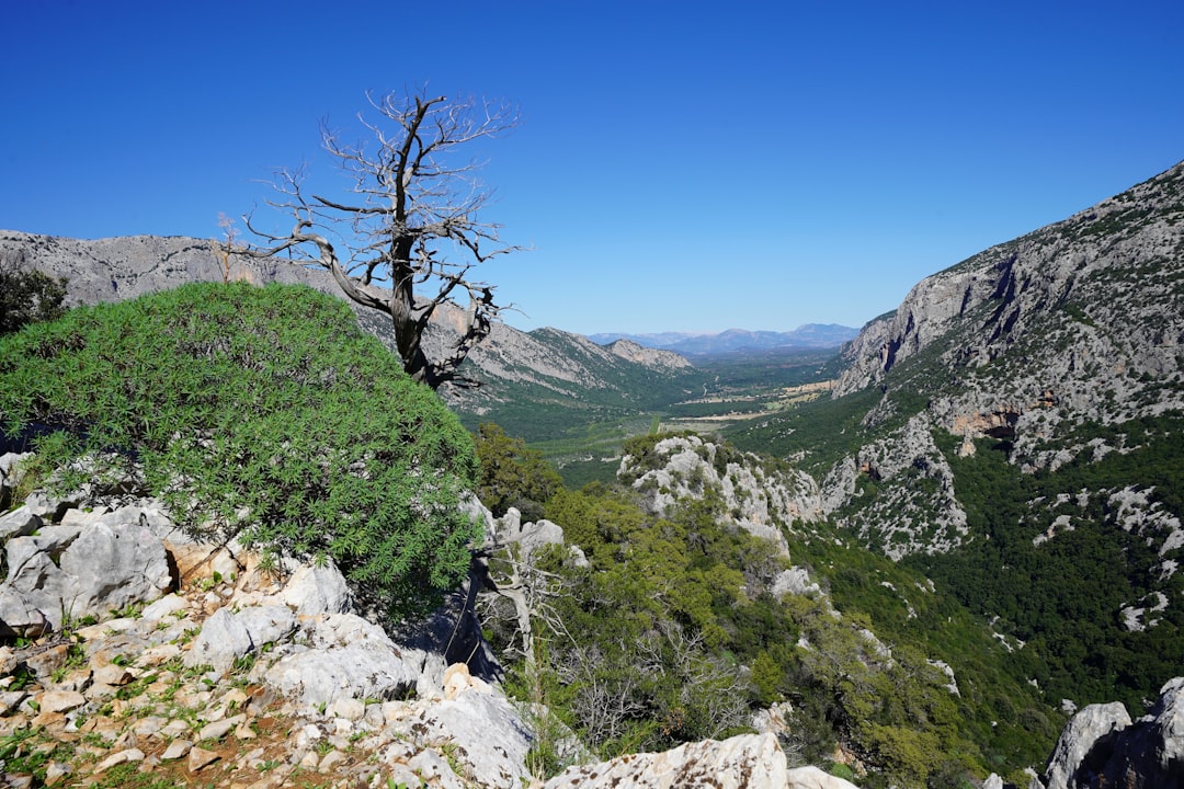 Parco Regionale Corpo Forestale Sardegna - varie province - Parco Regionale Corpo Forestale Sardegna - varie province