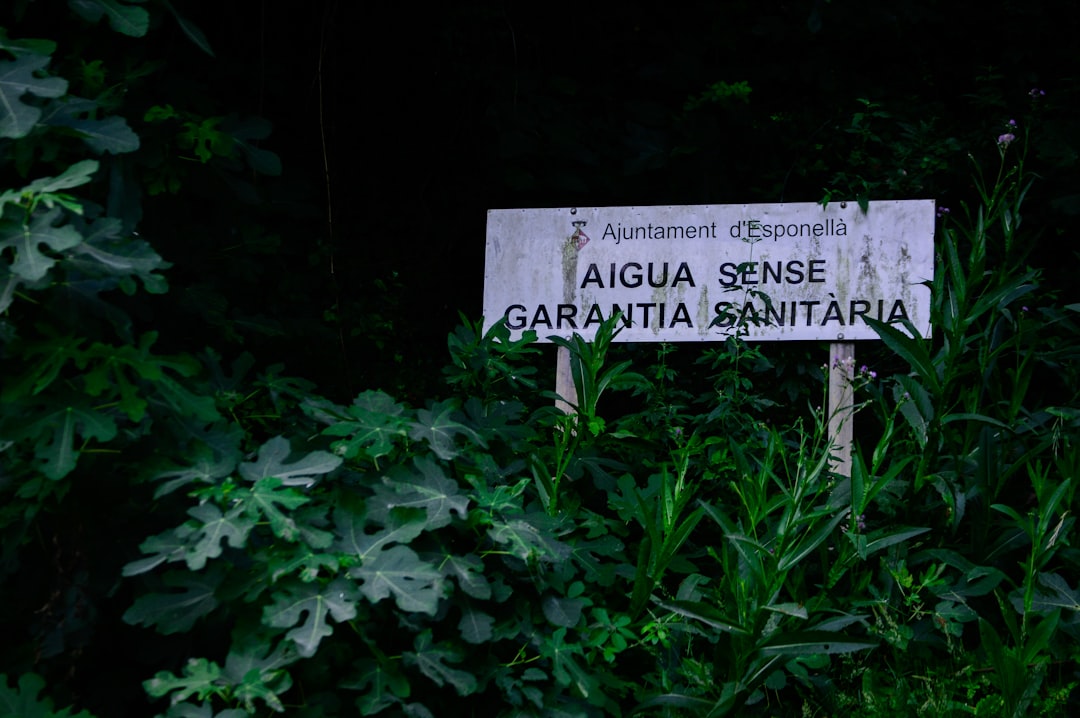 Parco Regionale dell'Appia Antica - Roma - Parco Regionale dell'Appia Antica - Roma