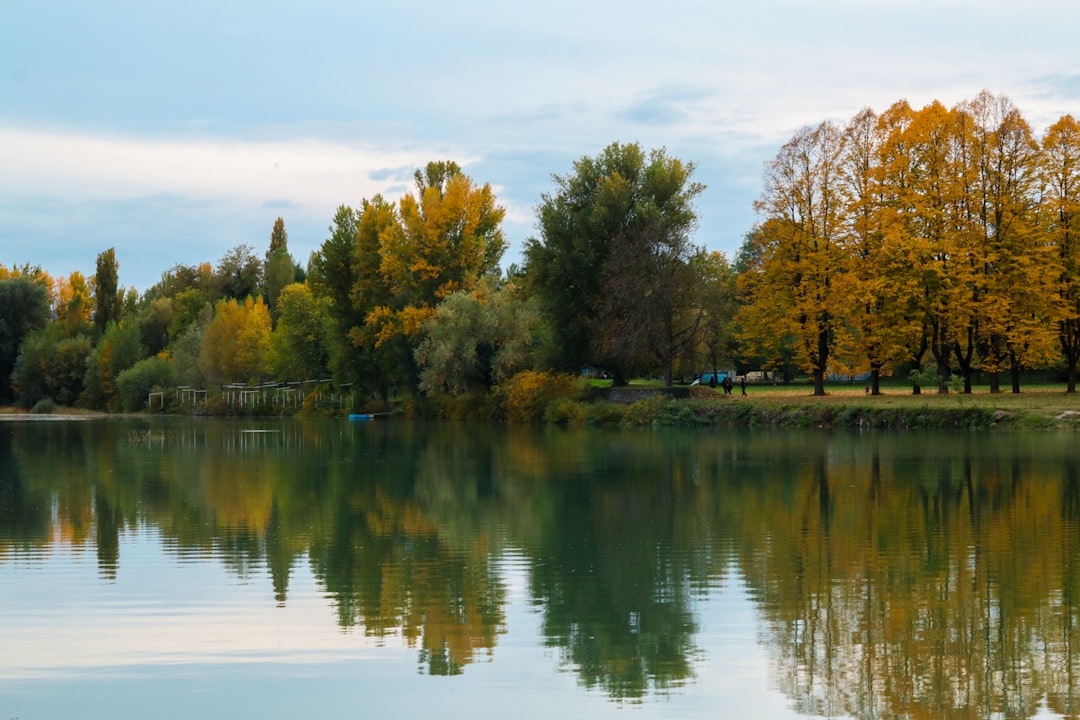 Parco Regionale Laghi Suviana e Brasimone - Bologna - Parco Regionale Laghi Suviana e Brasimone - Bologna