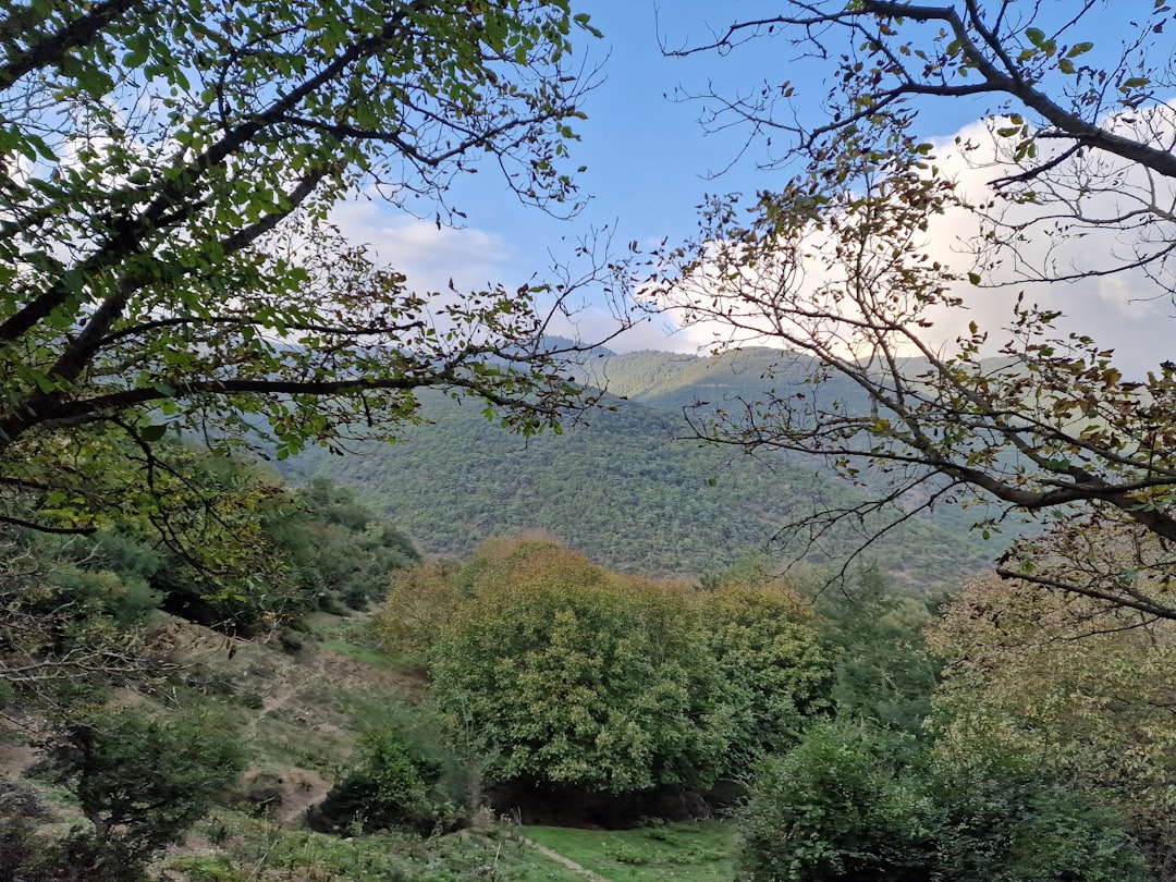 Parco Regionale Monte Genzana e Alto Gizio - L'Aquila - Parco Regionale Monte Genzana e Alto Gizio - L'Aquila