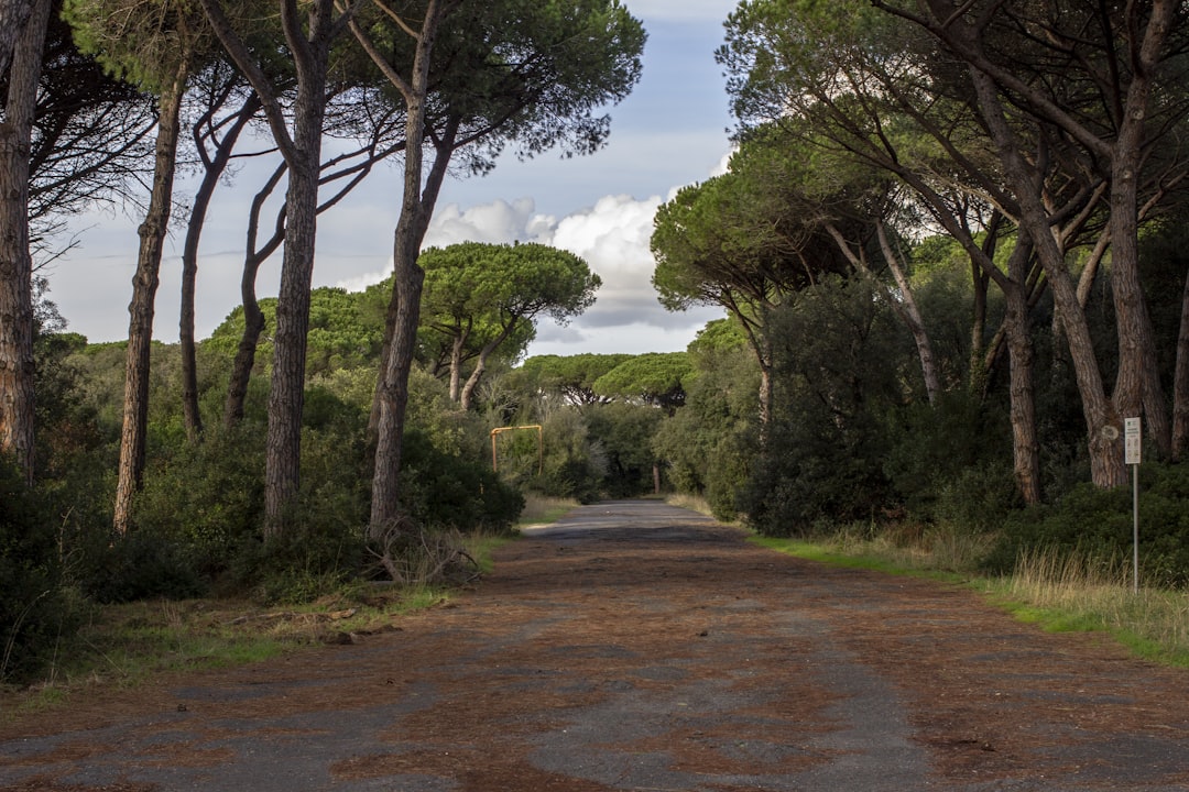 Parco Regionale Monti Lucretili - Roma, Rieti - Parco Regionale Monti Lucretili - Roma, Rieti