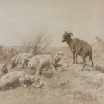 Pastorano - Pastorano