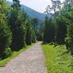 Percorso a piedi sulla Via Verde della Val Brembana (ex ferrovia). -