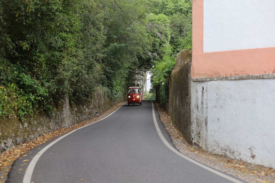 Percorso enologico delle DOC della Murgia: da Gravina a Minervino Murge. -