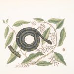 Petralia Soprana e Sottana (Madonie) -