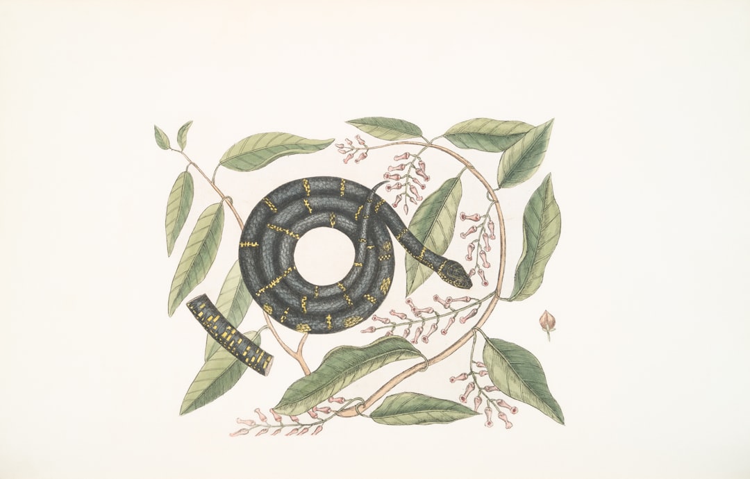 Petralia Soprana e Sottana (Madonie) -