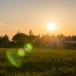 Putignano - Putignano