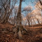 Quarna Sotto - Quarna Sotto