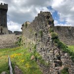 Radicofani - Radicofani