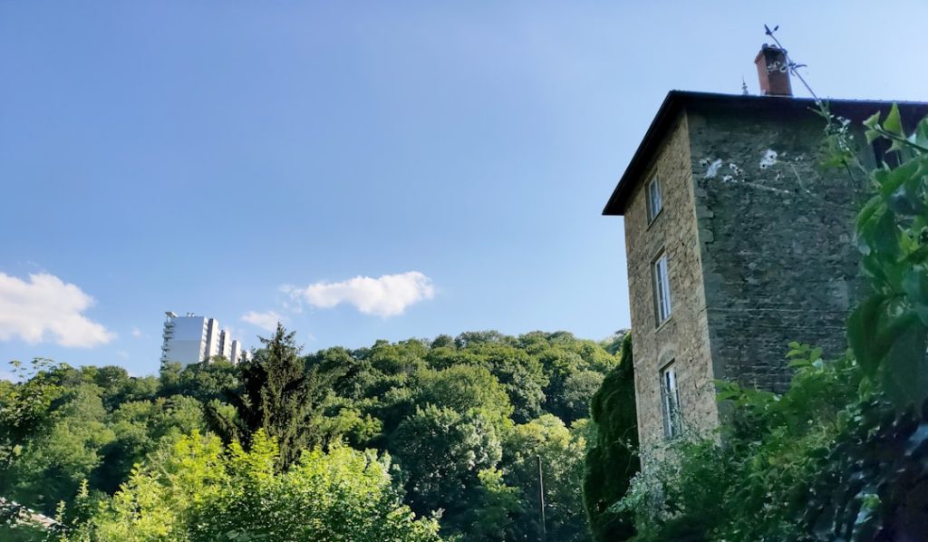 Riserva Naturale di San Giuliano -